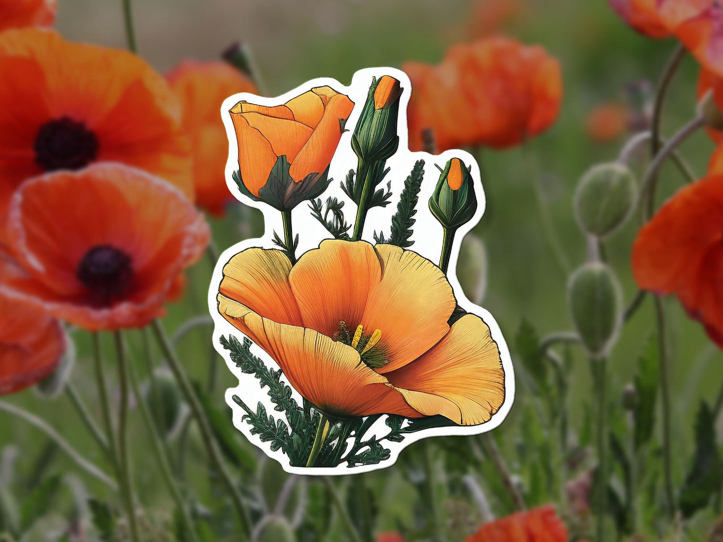 Flower Sticker, California Poppy Sticker, Plant Decal, Sticker For Laptop, Bumper, Water Bottle, Die Cut, Waterproof