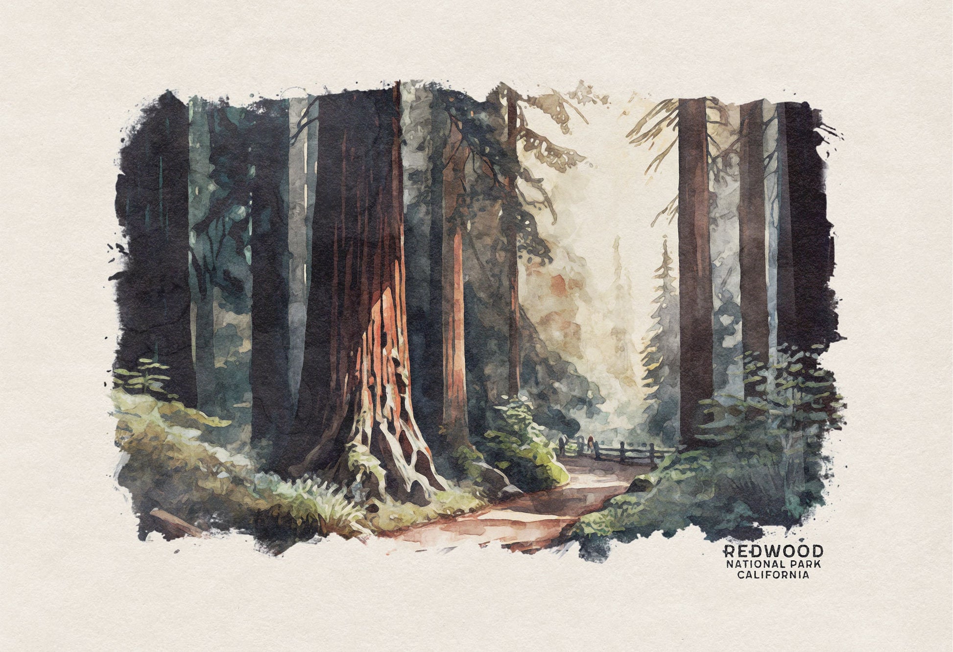 Redwood National Park Poster, Watercolor Forest Print, California Redwood Poster, National Forest Wall Art