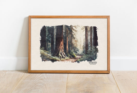 Redwood National Park Poster, Watercolor Forest Print, California Redwood Poster, National Forest Wall Art