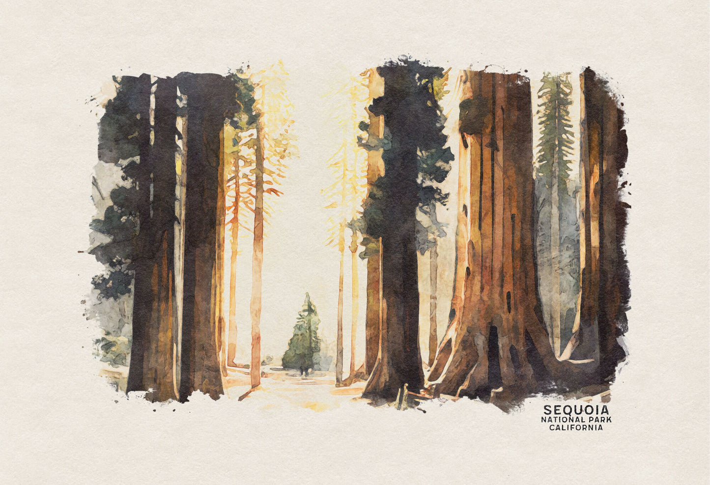 Sequoia National Park Poster, California Painting, National Park Prints, Redwood Travel Poster, National Park Art