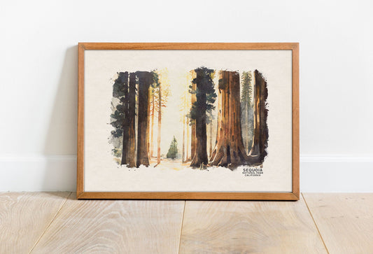 Sequoia National Park Poster, California Painting, National Park Prints, Redwood Travel Poster, National Park Art