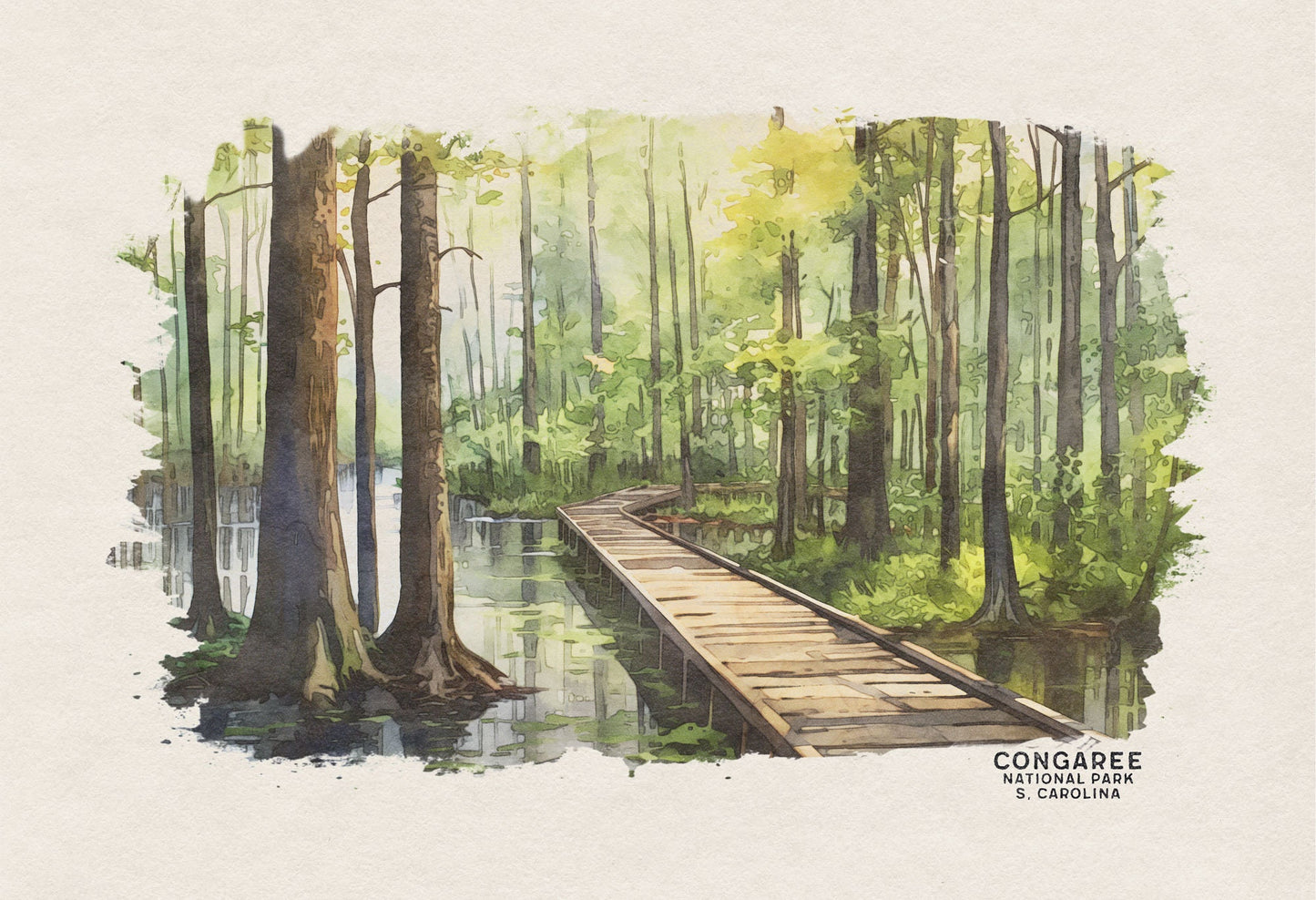 Congaree National Park Poster, South Carolina Art, National Park Prints, Congaree Travel Poster, National Park Watercolor, Woodland Nursery