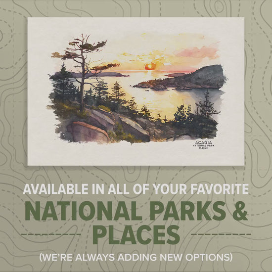 Olympic National Park Poster, Washington National Park Prints, Olympic Watercolor Painting, Woodland Nursery National Park Art